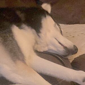 Meet your Posher, Mina